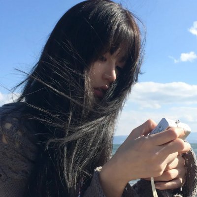 鸟儿们的奇幻冒险